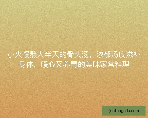 小火慢熬大半天的骨头汤，浓郁汤底滋补身体，暖心又养胃的美味家常料理